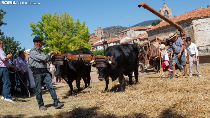 Galería: Vuelta al pasado con el Mercado Tradicional de San Pedro Manrique