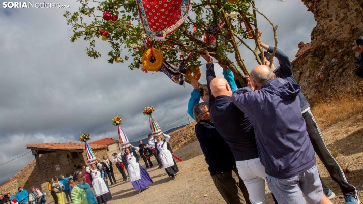 En fotos, Sarnago presume de tradición con sus Mondidas y el Mozo del Ramo