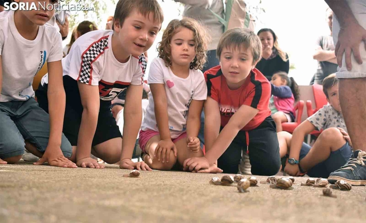 La carrera de caracoles de Peroniel, el lunes