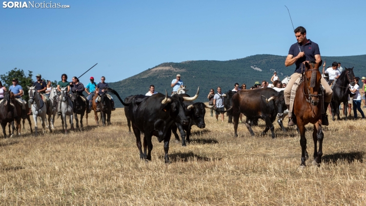GALERÍA | Gallinero vive su II jornada de la Trashumancia