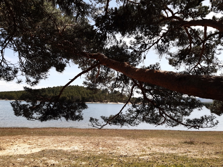 La Cuerda del Pozo pierde más del 2% de agua en una semana