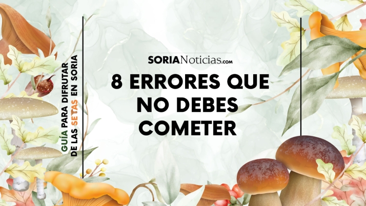8 cosas que no debes hacer si vas a coger setas en Soria este otoño