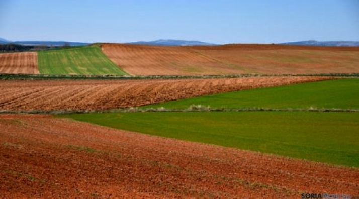Así es el nuevo acuerdo de concentración parcelaria de Las Aldehuelas – Los Campos – Valloria - Ledrado