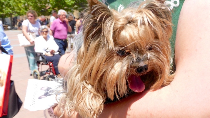 El retorno del calor: Soria superará los 30ºC este viernes