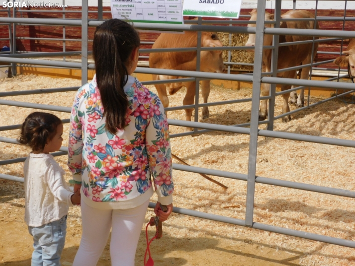 Galería: La Feria Ganadera de Soria abre sus puertas