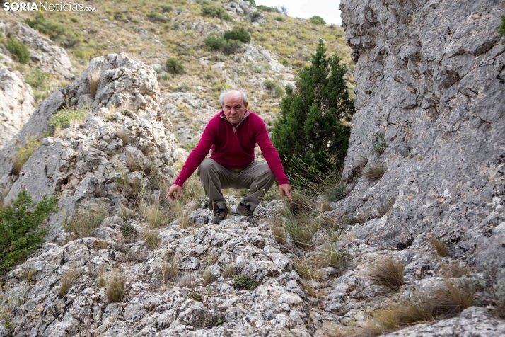 Las pistas de la historia: ¿Un campamento militar romano en Deza?