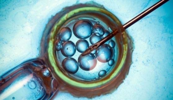¿Está Castilla y León dispuesta a aumentar la cobertura de los tratamientos de fertilidad?