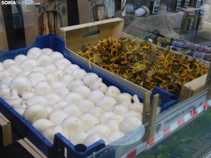 ¿Afectará la inflación al precio de las setas en Soria?