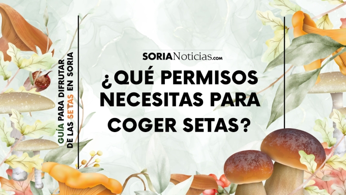 Tipos de permisos, límites y tarifas para coger setas en Soria