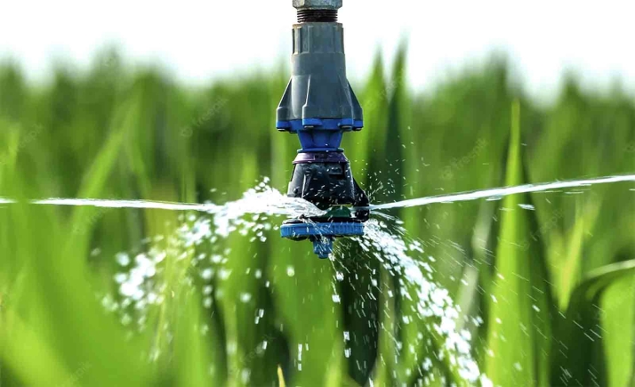 Se invertirán 3 M€ en los regadíos de Dévanos gracias a la concentración parcelaria