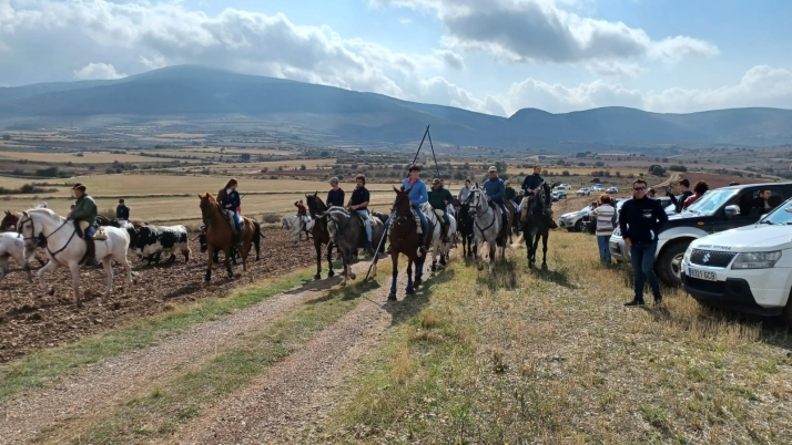 El 23, jornada trashumante en Ágreda
