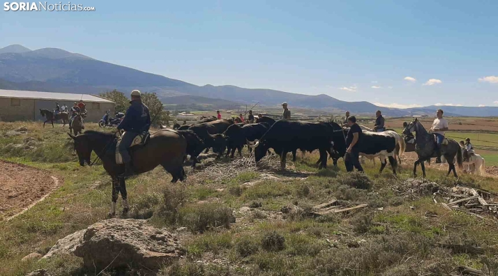 FOTOS | Día campero en Ágreda