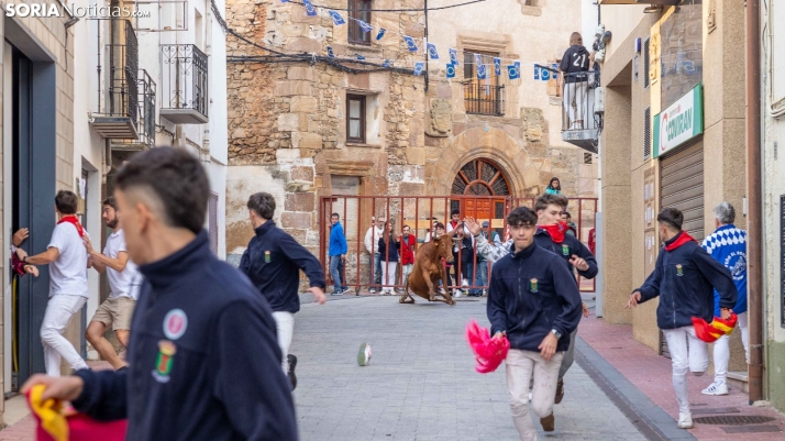 En imágenes: Emocionante encierro por las calles de Ólvega