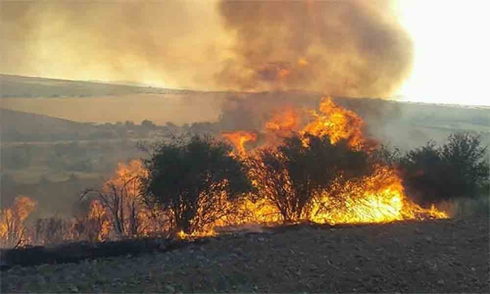 Una chispa del tren provoca un fuego en Arcos