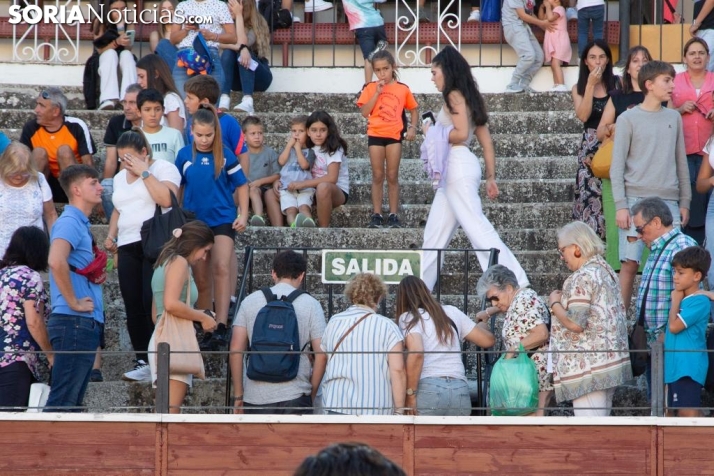 Se suspenden las vaquillas de San Saturio ante la ausencia de los certificados de nacimiento de los animales