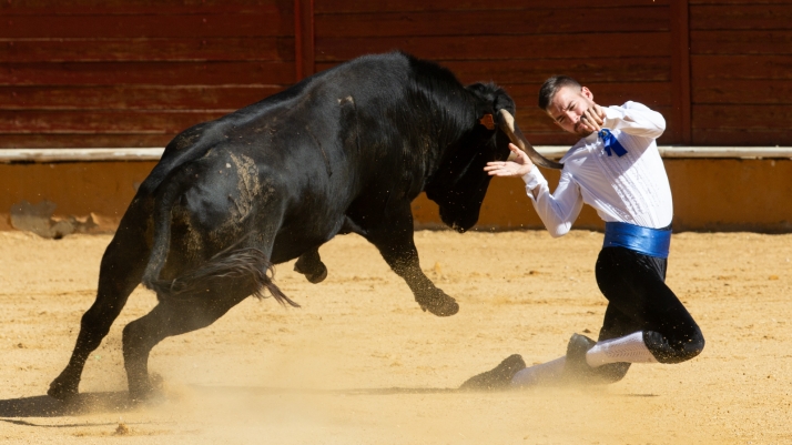 Quiebros, recortes o volteretas, en fotos: Soria vive una emocionante mañana de recortes