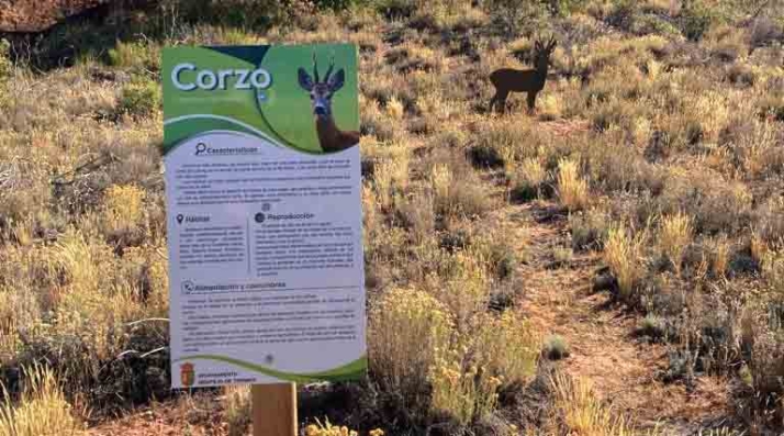 Roban seis figuras de una ruta turística en Montejo