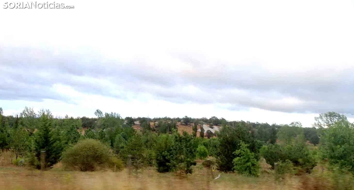 Castilla y León vuelve al peligro bajo de incendios forestales ante el cambio en la situación meteorológica