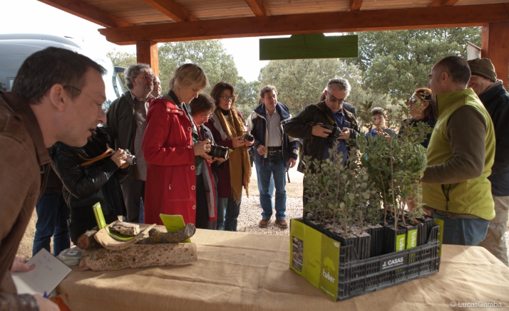 16 periodistas internacionales conocen la oferta turística y micológica con motivo de ‘Soria Gastronómica’