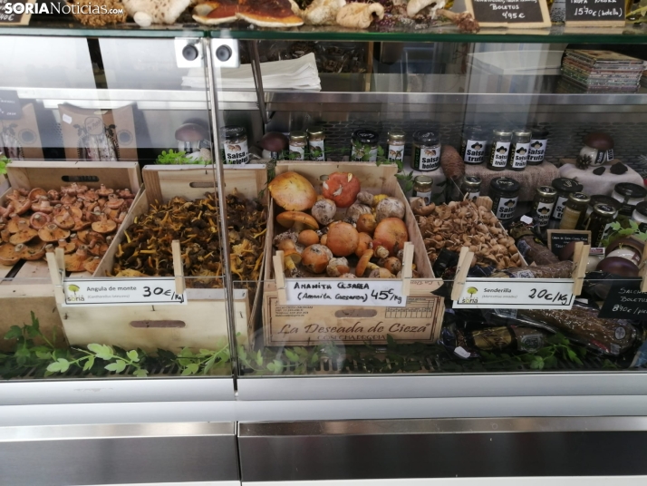 Este es el precio (actual) de las setas y hongos en Soria