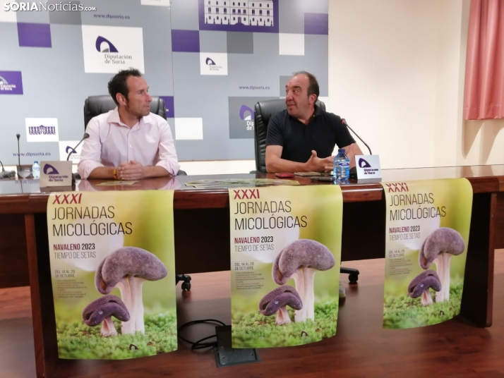 Un concierto en directo mientas recolectas setas, una de las novedades de la XXXI Jornadas Micológicas de Navaleno