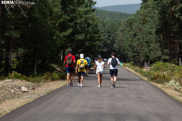 Del más pobre al más rico: Así se ordenan los 10 pueblos de Soria con más de 1.000 habitantes
