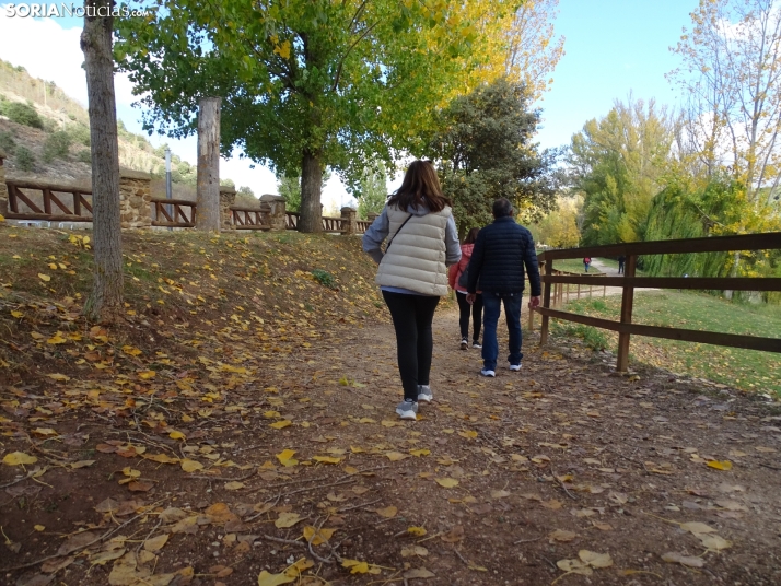 Día agradable y noche lluviosa este domingo en Soria