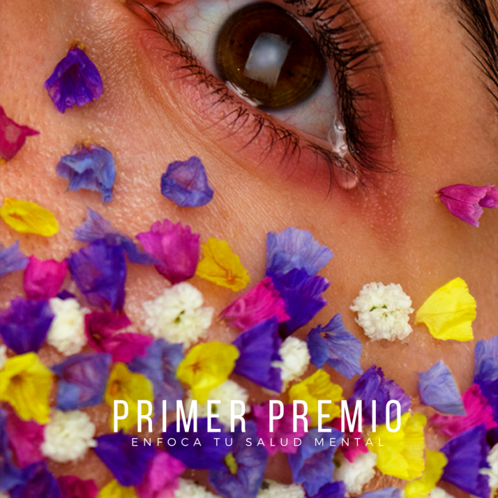 Este viernes, entrega de los premios de fotografía de ASOVICA-FADESS