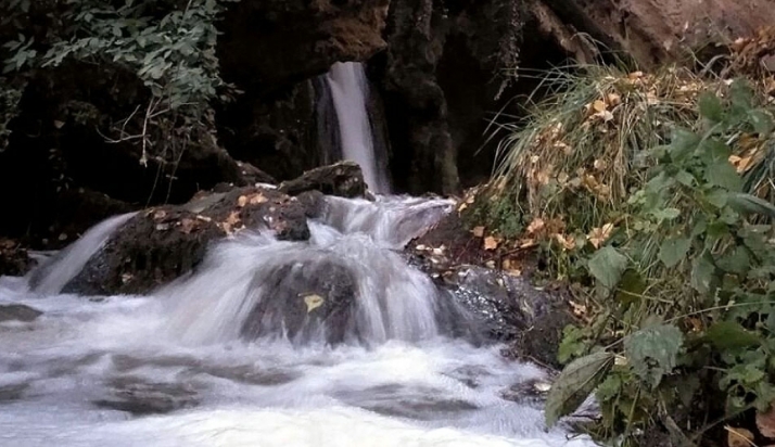 El brote de gastronterítis de Tarazona (con 500 afectados) tiene su origen en Soria