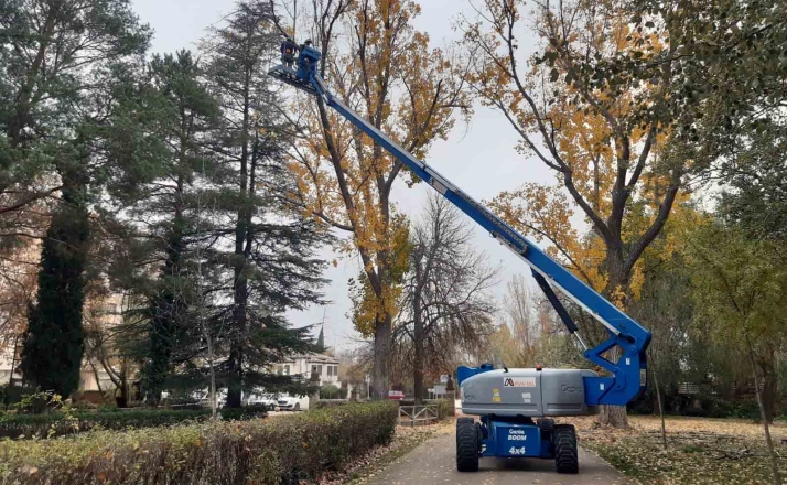 Almazán cuida la sanidad vegetal de su parque de La Arboleda
