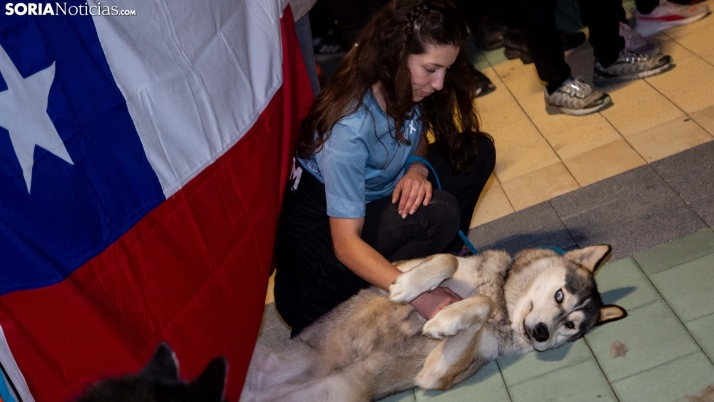 Fotos: Deportistas de 27 países llegan a Ólvega para disputar el Mundial de Mushing