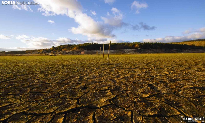 Castilla y León destina 34 M€ en ayudas a explotaciones afectadas por la sequía