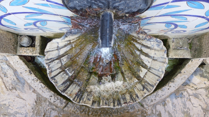 Estos son los ganadores del VI Rally Fotográfico y del VIII Certamen de Relatos Cortos Villa de Ágreda