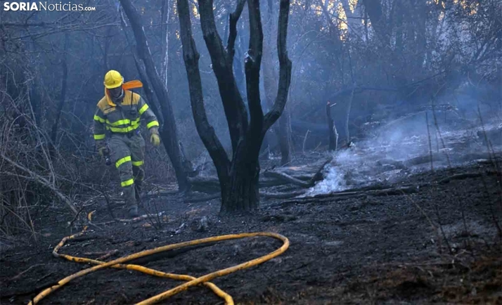 Soria Ya lamenta que Navaleno, Duruelo o Tardelcuende no tengan la protección máxima en el Plan de Incendios Forestales