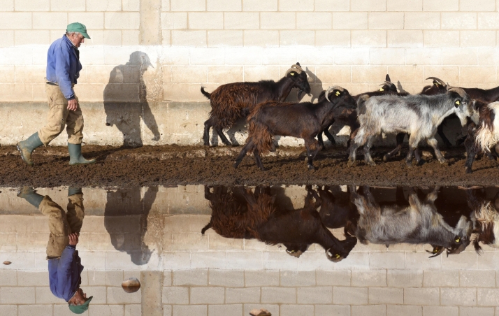 Llega El adiós de otro rebaño, testimonio de uno de los últimos pastores de Soria 
