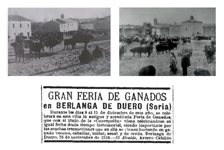 Recuerdos de un berlangúes sobre los días de feria ganadera
