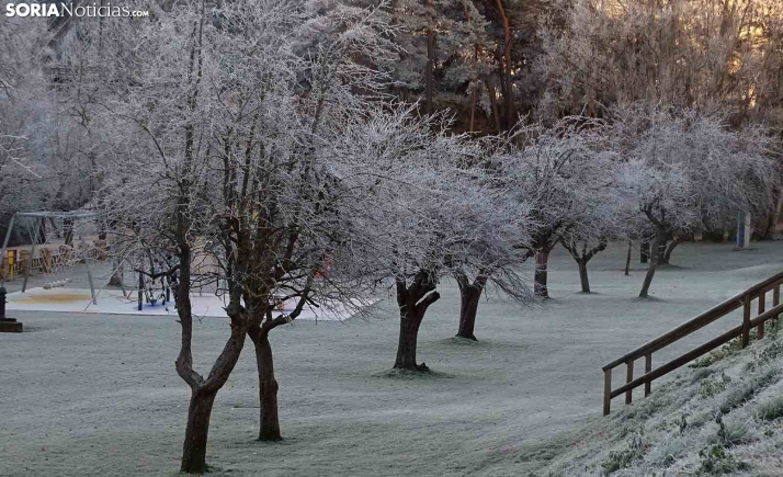 GALERÍA 25D | A falta de nieve, abundante escarcha