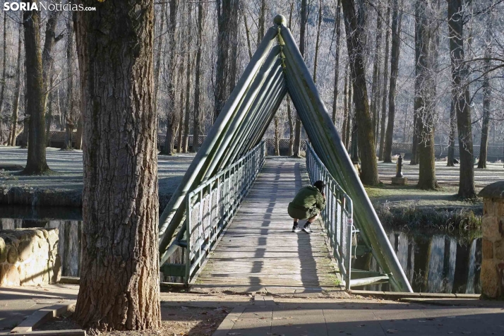 Comienza el fin de semana en Soria con frío y niebla