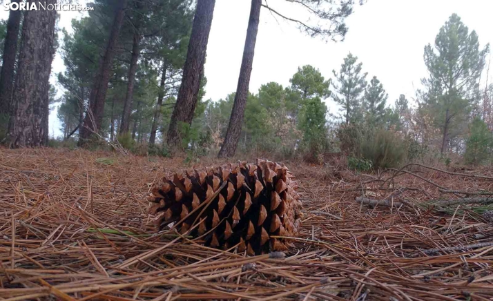 Mejoran las mínimas pero menos sol para este viernes