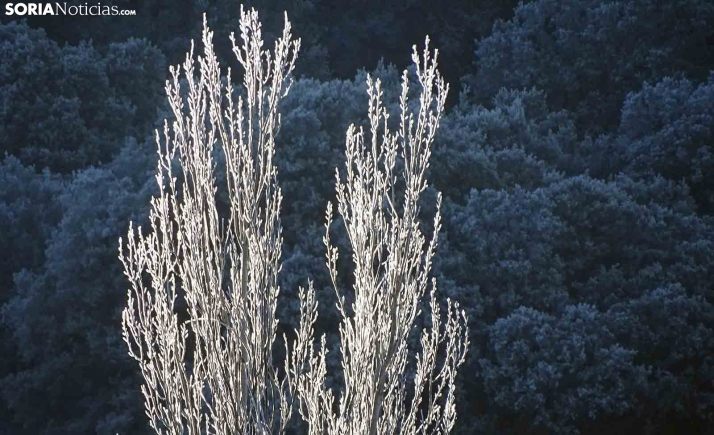 Soria marca la mínima temperatura provincial este 25 de diciembre