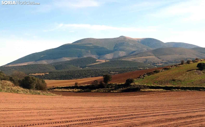 Adjudicada la renovación de la señalización de siete espacios naturales de Soria