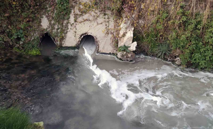 Ecologistas en Acción se persona ante la Fiscalía por los últimos vertidos detectados en la EDAR de Ágreda