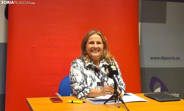 El PSOE en la Diputación propone un Plan de Interés Provincial financiado con un crédito controlado para los Presupuestos de 2024