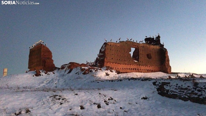 Las cigüeñas toman el castillo de Serón de Nágima
