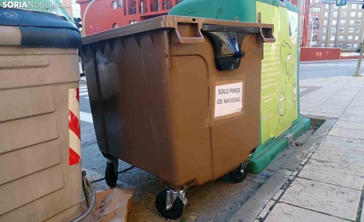 Estas son las ubicaciones de los contenedores para reciclar los árboles navideños