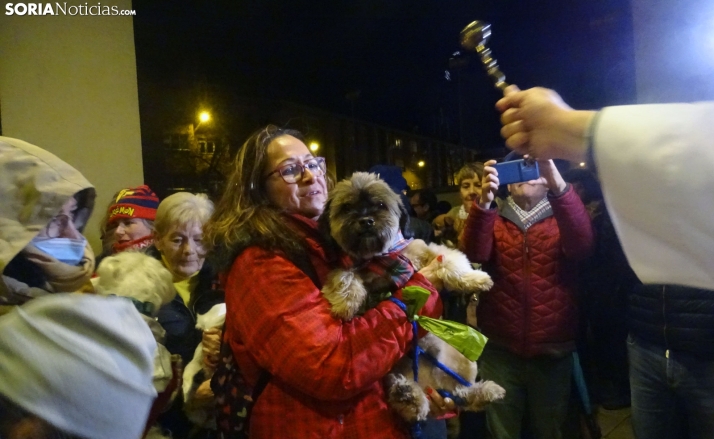 FOTOS | San Antón en Soria: Confianza en el patrón sin temor al frío
