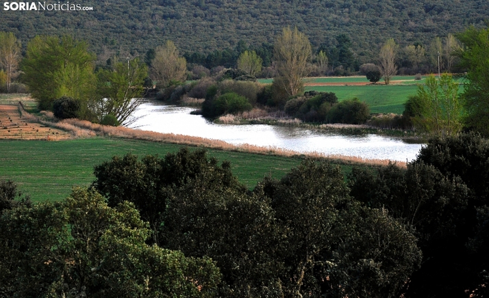 La transformación y modernización de regadíos en la Cuenca del Duero, la forma más eficiente y tecnológica de una agricultura sostenible