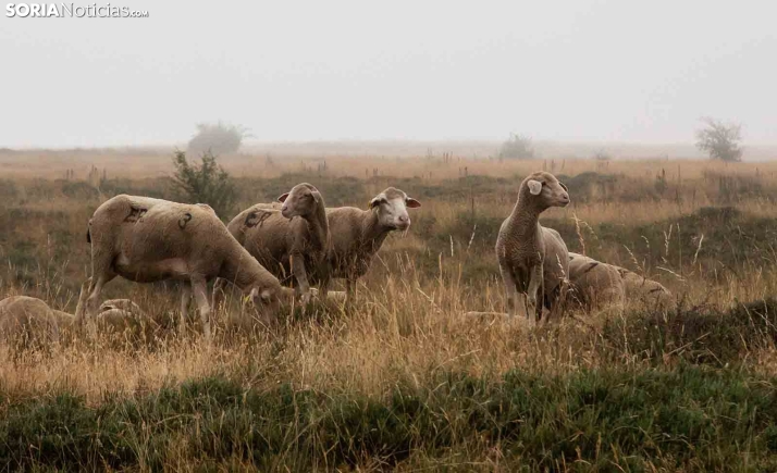 Castilla y León convoca ayudas para mejorar la formación de los sectores agrario, forestal y agroalimentario