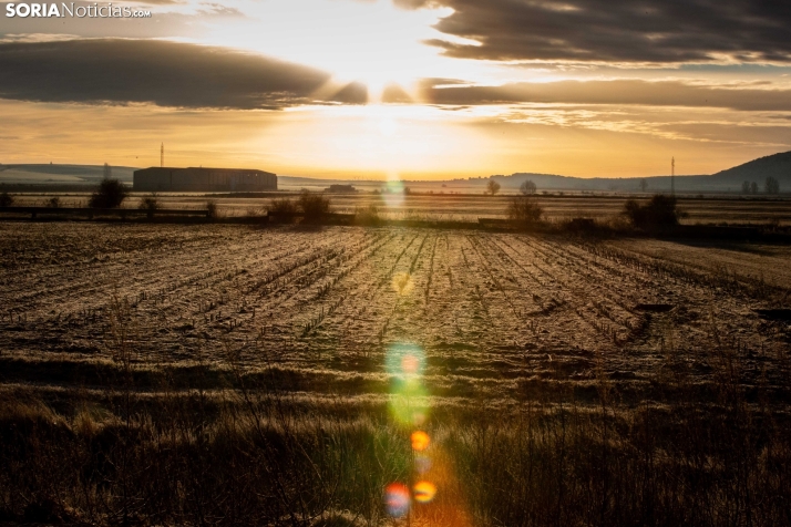 Comienza un ascenso térmico que dejará temperaturas primaverales en Soria