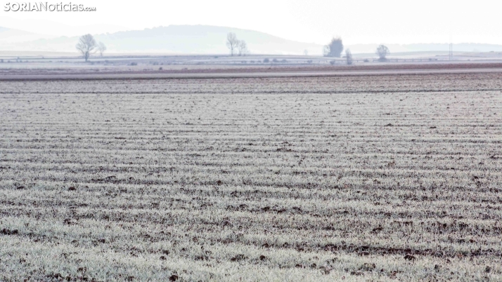 Postales del invierno que nos regala la provincia de Soria